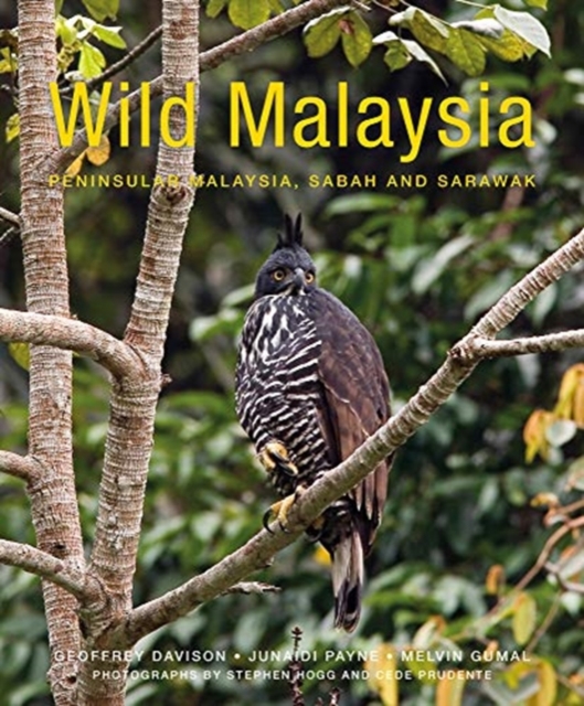 Wild Malaysia (2nd edition), Paperback / softback Book