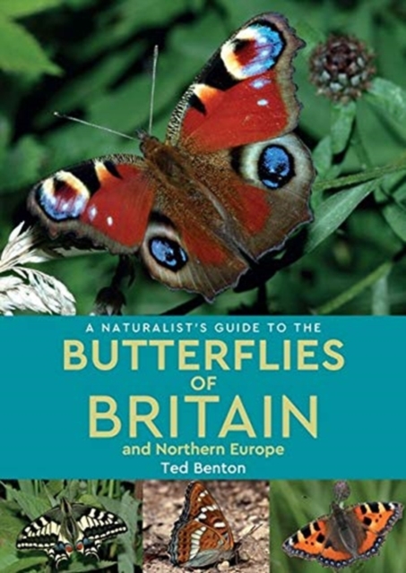 A Naturalist's Guide to the Butterflies of Britain and Northern Europe (2nd edition), Paperback / softback Book