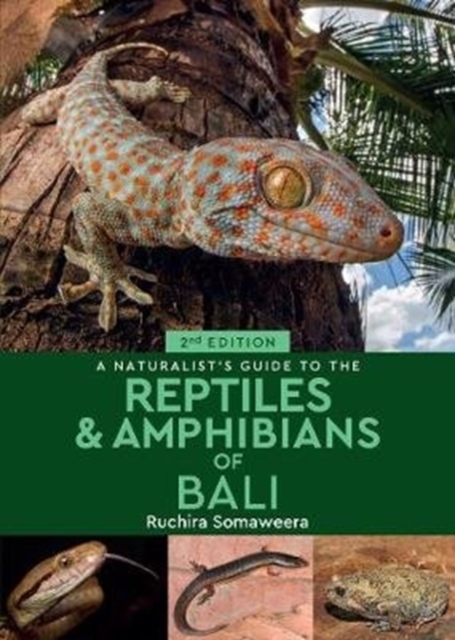 A Naturalist's Guide to the Reptiles & Amphibians of Bali (2nd edition), Paperback / softback Book
