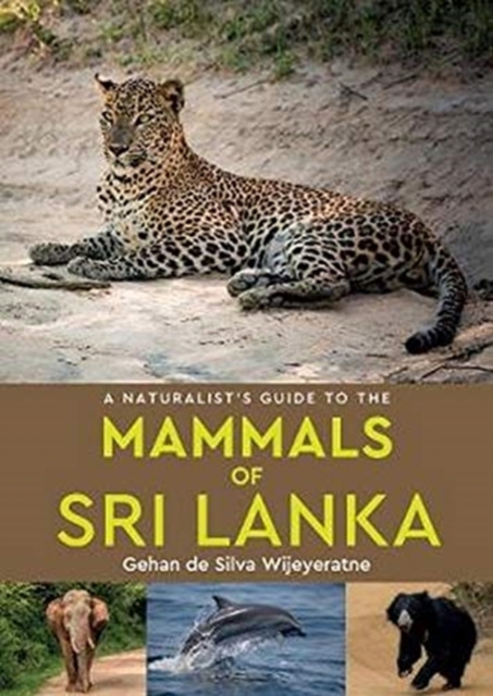 A Naturalist's Guide to the Mammals of Sri Lanka, Paperback / softback Book