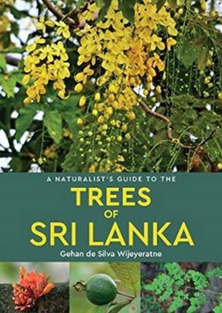 A Naturalist's Guide to the Trees of Sri Lanka, Paperback / softback Book
