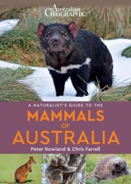 A Naturalists's Guide to the Mammals of Australia, Paperback / softback Book
