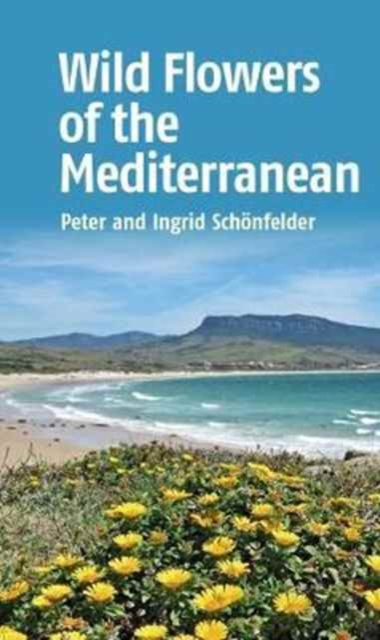 Wild Flowers of the Mediterranean, Paperback / softback Book
