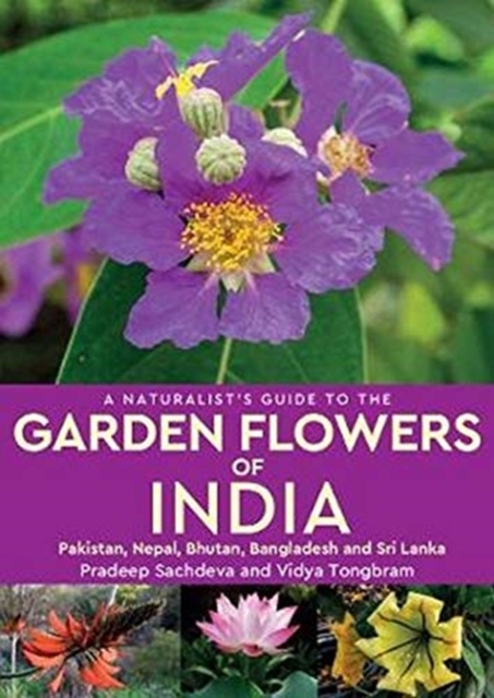 A Naturalist's Guide to the Garden Flowers of India : Pakistan, Nepal, Bhutan, Bangladesh & Sri Lanka, Paperback / softback Book
