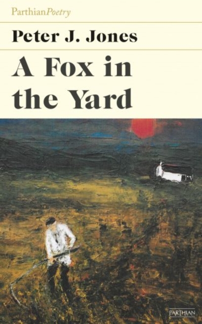 Fox in the Yard, Paperback / softback Book