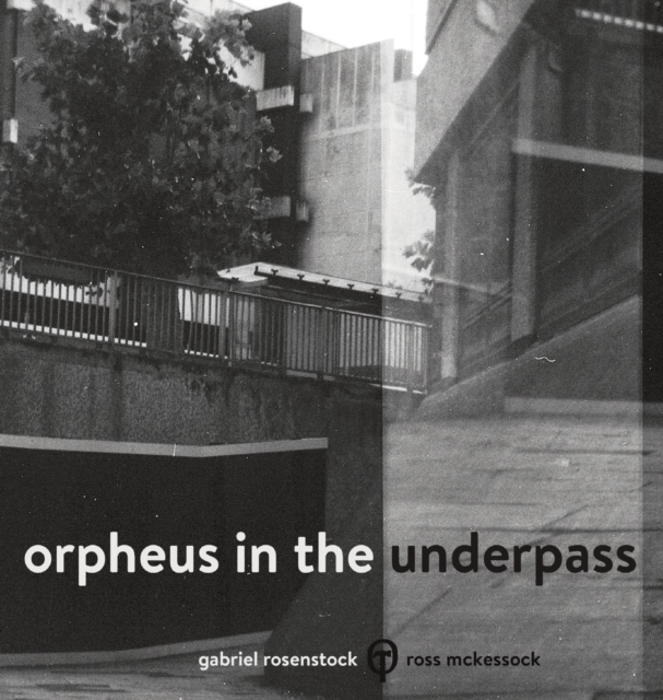 Orpheus in the Underpass, Hardback Book