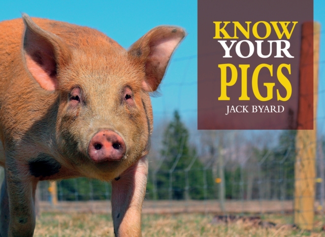 Know Your Pigs, Paperback / softback Book