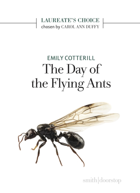 The Day of the Flying Ants, Paperback / softback Book
