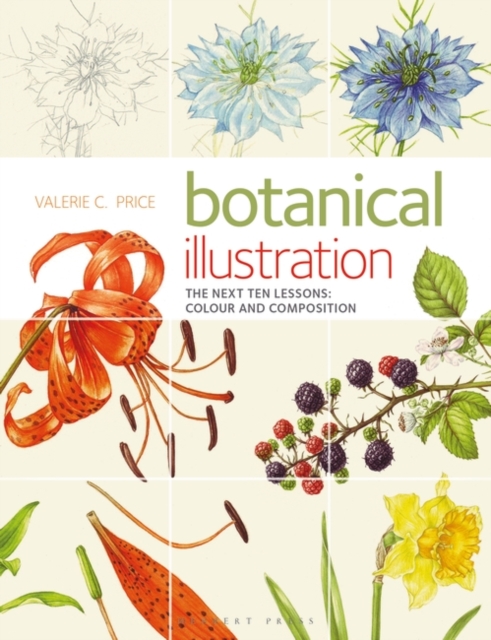 Botanical Illustration : The Next Ten Lessons: Colour and Composition, EPUB eBook