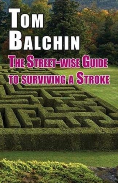 The Street-wise Guide to Surviving a Stroke, Paperback / softback Book