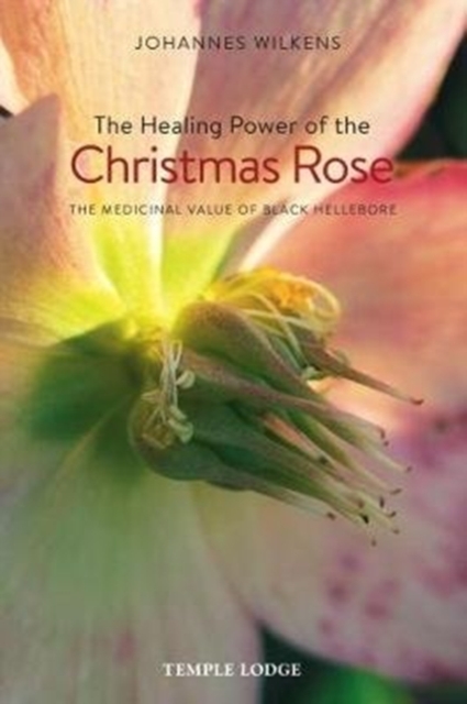 The Healing Power of the Christmas Rose : The Medicinal Value of Black Hellebore, Paperback / softback Book