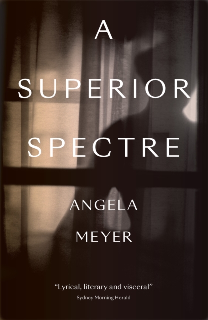 A Superior Spectre, Paperback / softback Book