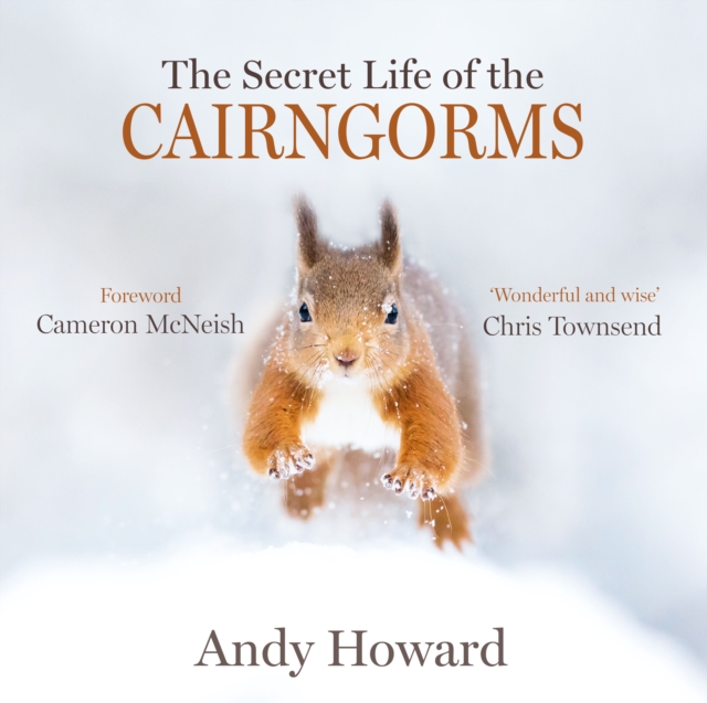 The Secret Life of the Cairngorms, Hardback Book