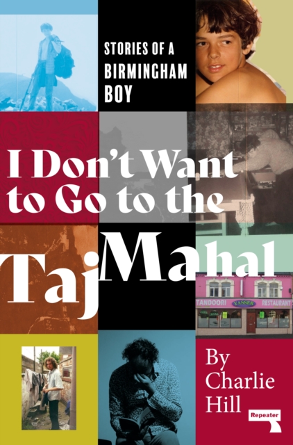 I Don't Want to Go to the Taj Mahal, EPUB eBook