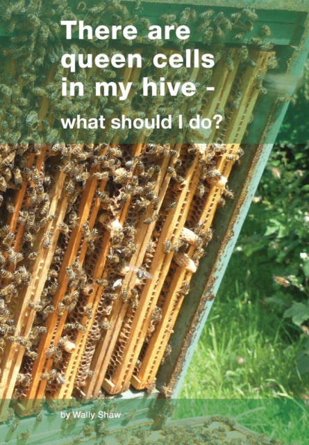 There are queen cells in my hive : - what should I do?, Paperback / softback Book