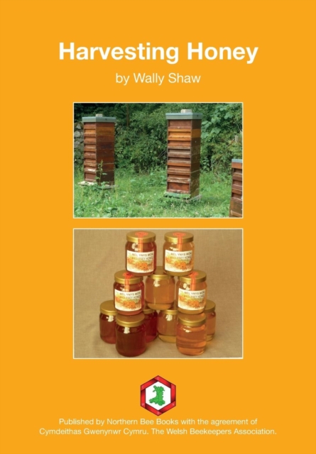 Harvesting Honey, Paperback / softback Book