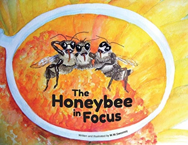 The Honeybee in Focus, Paperback / softback Book