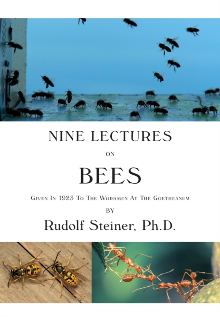 Nine Lectures on Bees : Given In 1923 To The Workmen At The Goetheanum, Paperback / softback Book