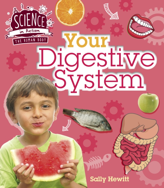 Human Body: Your Digestive System, Paperback / softback Book