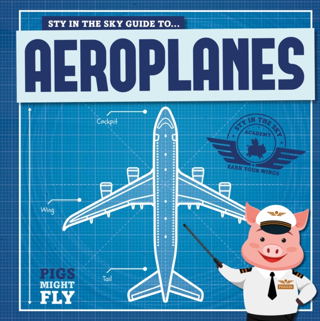 Aeroplanes, Paperback / softback Book