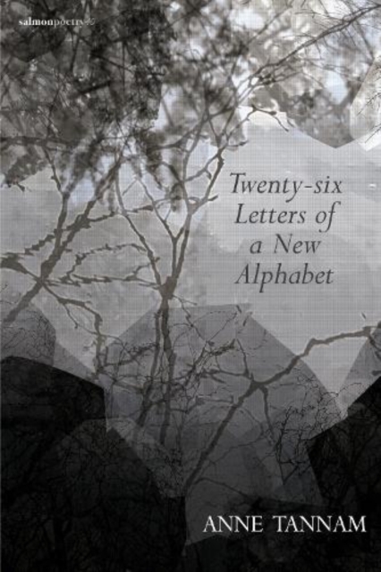 Twenty-six Letters of a New Alphabet, Paperback / softback Book