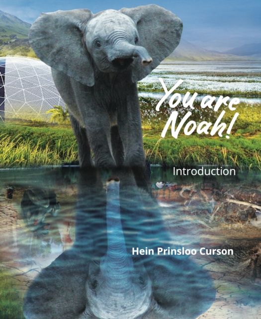 You are Noah!: Introduction, Hardback Book