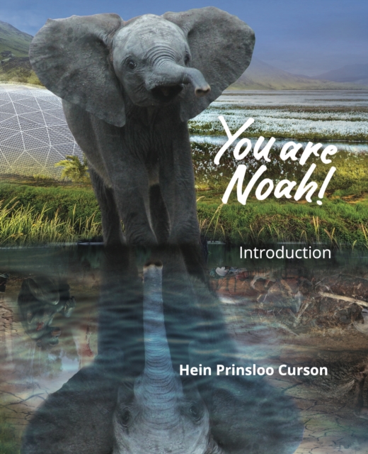 You are Noah!: Introduction, Paperback / softback Book