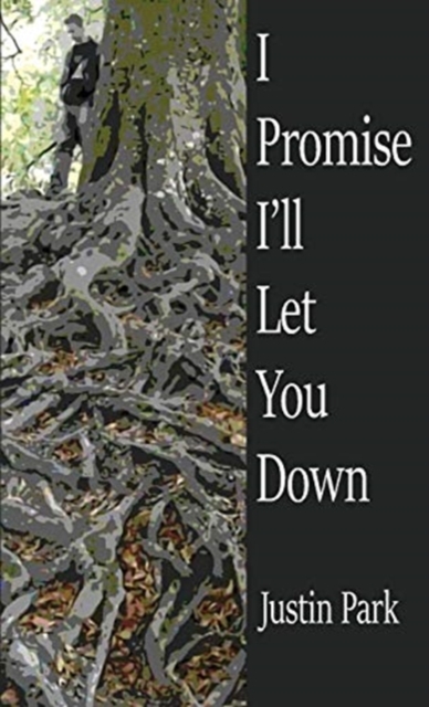 I Promise I'll Let You Down, Paperback / softback Book