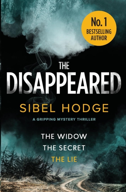 The Disappeared, Paperback / softback Book