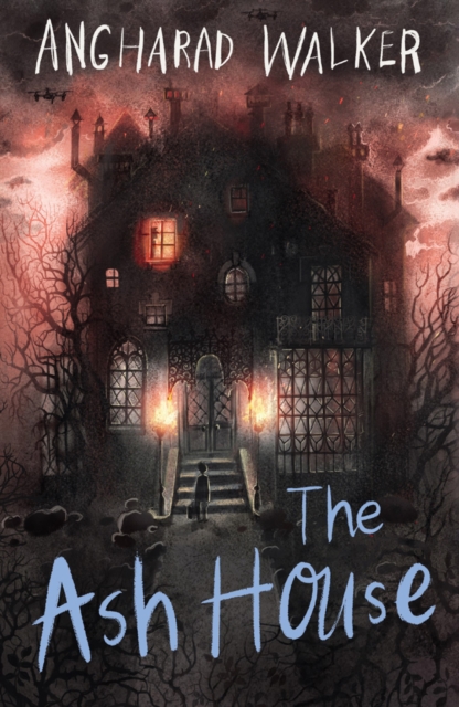 The Ash House, Paperback / softback Book