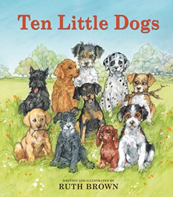 Ten Little Dogs, Hardback Book