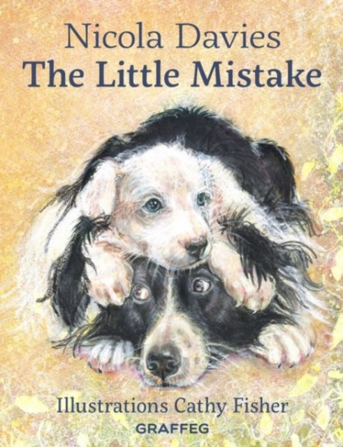 Country Tales: Little Mistake, The, Paperback / softback Book