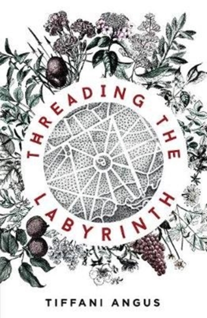Threading the Labyrinth, Paperback / softback Book
