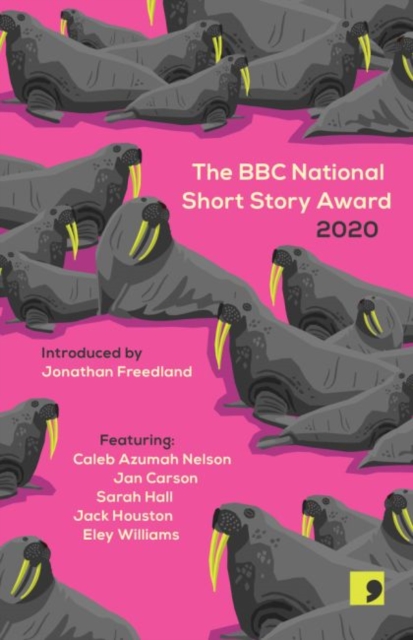 The BBC National Short Story Award 2020, Paperback / softback Book