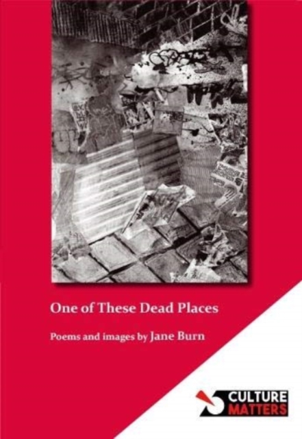 One Of These Dead Places, Paperback / softback Book