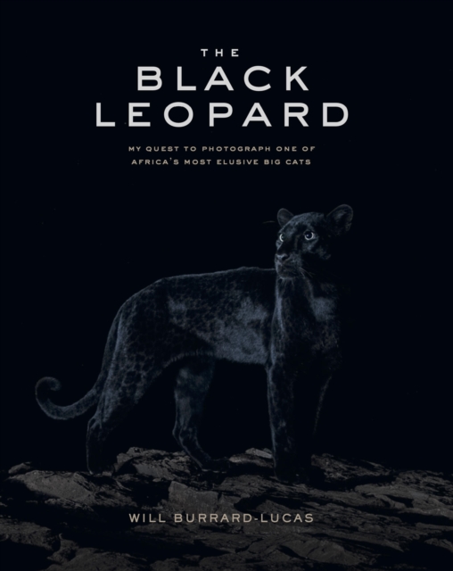 The Black Leopard : My Quest to Photograph One of Africa's Most Elusive Big Cats, Hardback Book