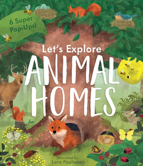 Animal Homes, Board book Book