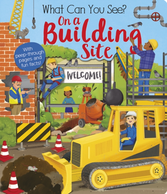 What Can You See On a Building Site?, Board book Book