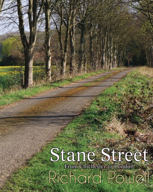 Stane Street : From Chichester to London, Paperback / softback Book