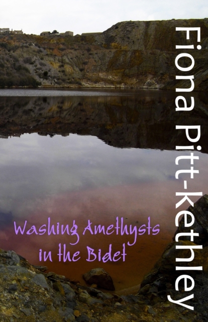 Washing Amethysts in the Bidet, Paperback / softback Book