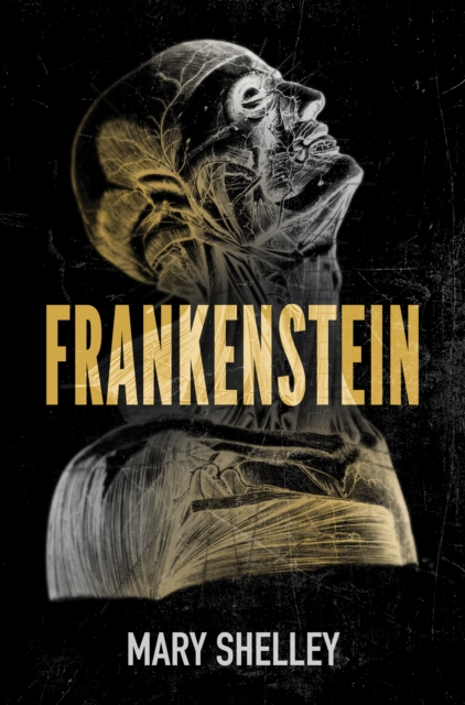 Frankenstein (Dyslexic Specialist edition), Paperback / softback Book