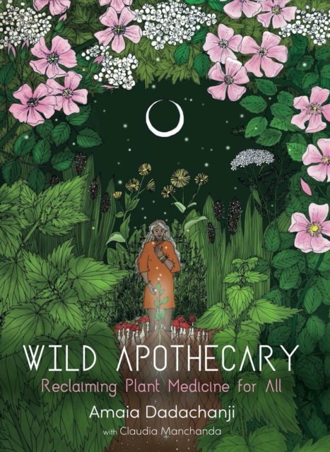 Wild Apothecary : Reclaiming Plant Medicine for All, Paperback / softback Book