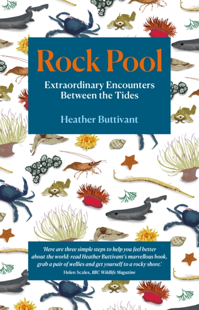 Rock Pool : Extraordinary Encounters Between the Tides, Paperback / softback Book