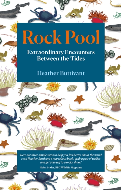 Rock Pool, EPUB eBook