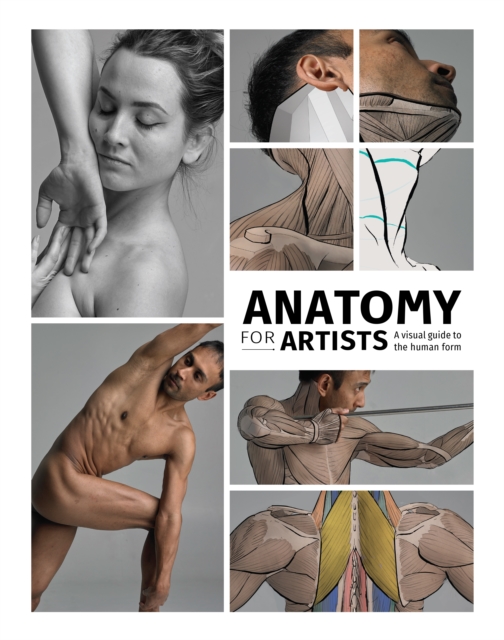 Anatomy for Artists : A visual guide to the human form, Hardback Book