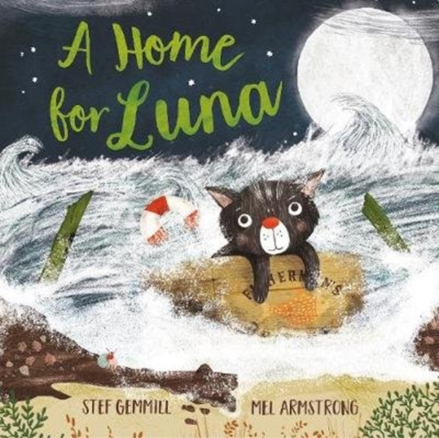 A Home For Luna, Paperback / softback Book