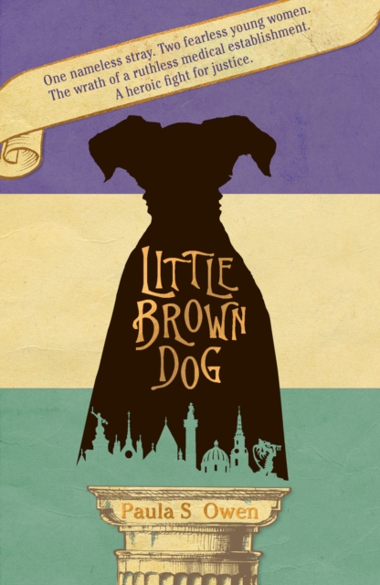 Little Brown Dog, Paperback / softback Book