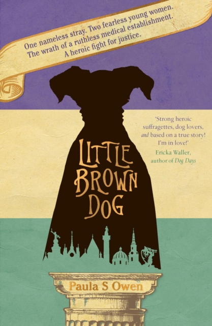 Little Brown Dog, EPUB eBook