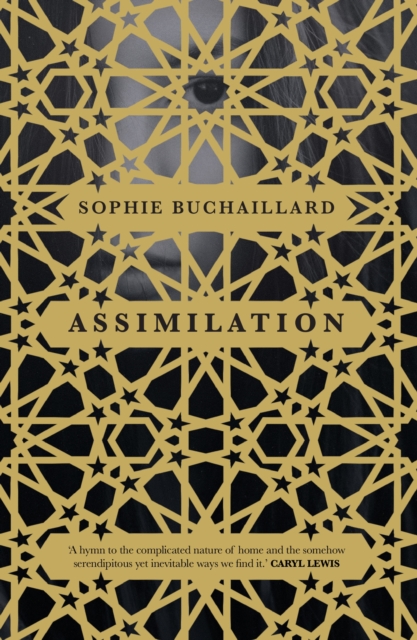 Assimilation, Paperback / softback Book