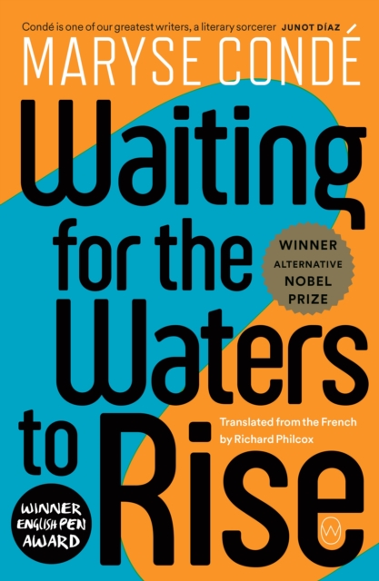 Waiting For The Waters To Rise, Paperback / softback Book